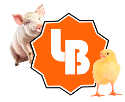 logo_horizontal